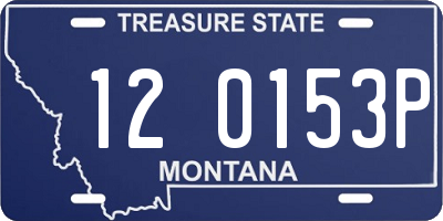 MT license plate 120153P
