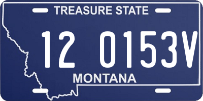 MT license plate 120153V
