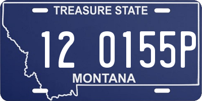 MT license plate 120155P