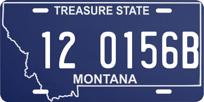 MT license plate 120156B