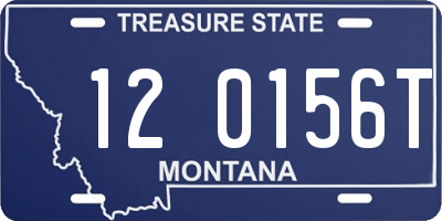 MT license plate 120156T