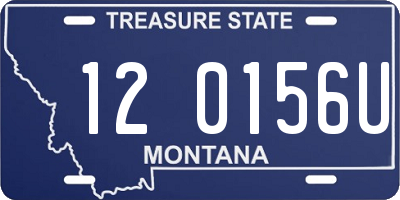 MT license plate 120156U