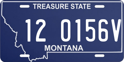 MT license plate 120156V