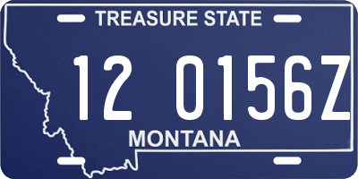 MT license plate 120156Z