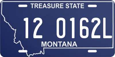 MT license plate 120162L