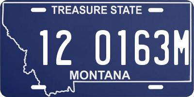MT license plate 120163M
