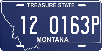 MT license plate 120163P