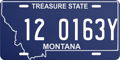 MT license plate 120163Y
