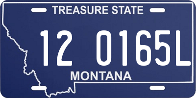 MT license plate 120165L