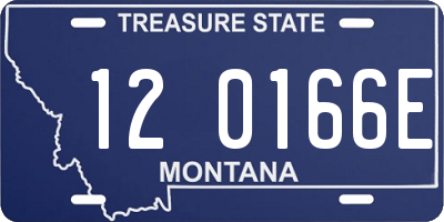 MT license plate 120166E