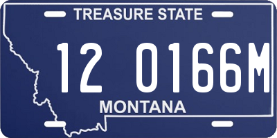 MT license plate 120166M