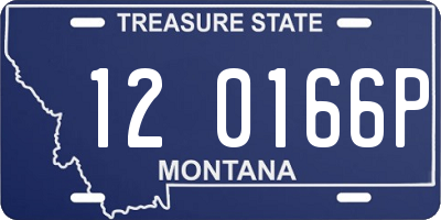 MT license plate 120166P
