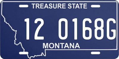 MT license plate 120168G
