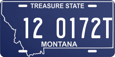 MT license plate 120172T