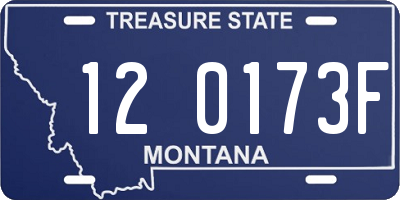 MT license plate 120173F