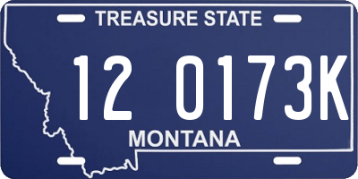 MT license plate 120173K