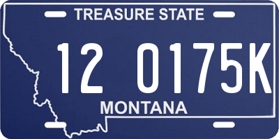 MT license plate 120175K