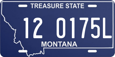 MT license plate 120175L