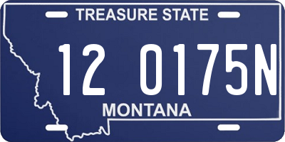 MT license plate 120175N