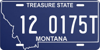 MT license plate 120175T