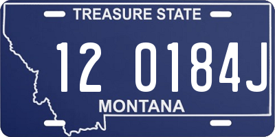 MT license plate 120184J