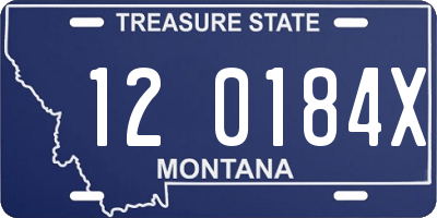 MT license plate 120184X