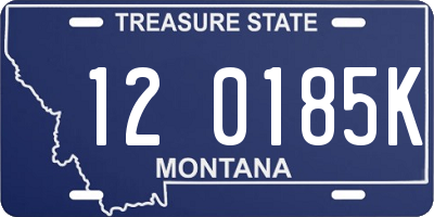 MT license plate 120185K