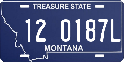 MT license plate 120187L