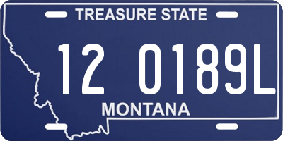 MT license plate 120189L