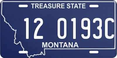 MT license plate 120193C