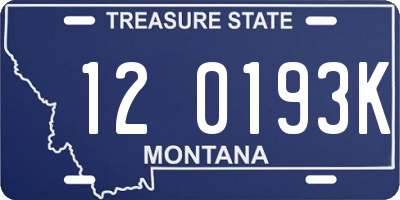 MT license plate 120193K