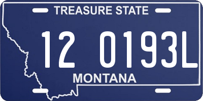 MT license plate 120193L