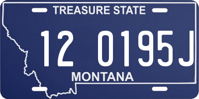 MT license plate 120195J