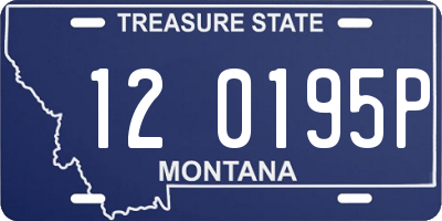 MT license plate 120195P