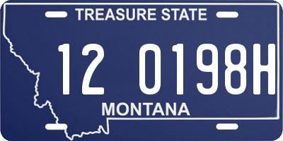 MT license plate 120198H