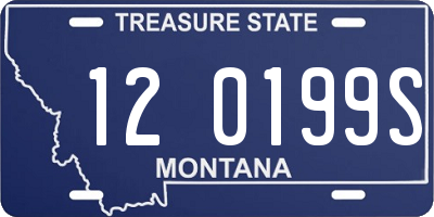 MT license plate 120199S
