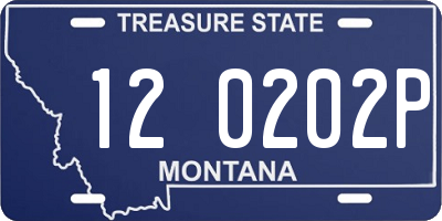 MT license plate 120202P