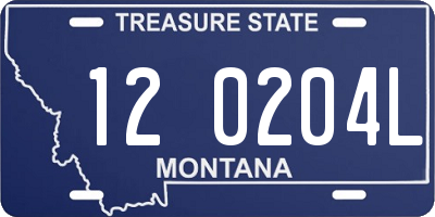 MT license plate 120204L