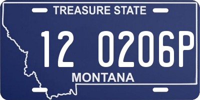 MT license plate 120206P