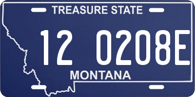 MT license plate 120208E