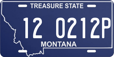 MT license plate 120212P