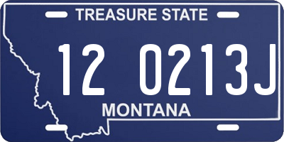MT license plate 120213J