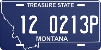 MT license plate 120213P