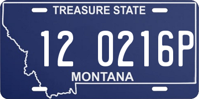 MT license plate 120216P