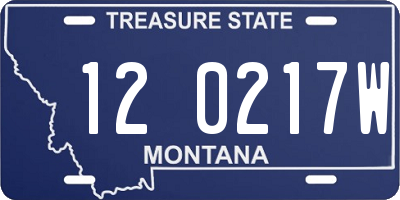 MT license plate 120217W