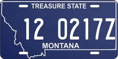 MT license plate 120217Z