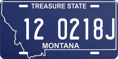 MT license plate 120218J