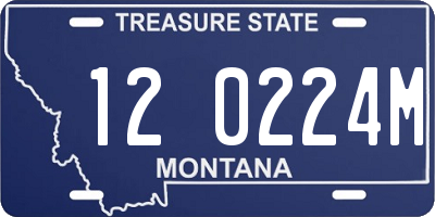 MT license plate 120224M