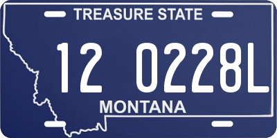 MT license plate 120228L
