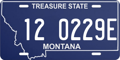 MT license plate 120229E